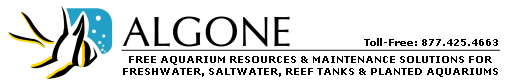 Algone