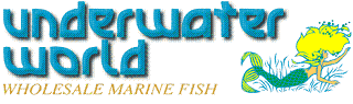 Underwater World