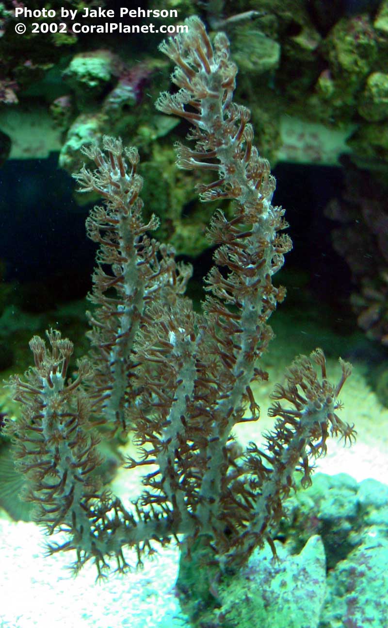 DSC01141