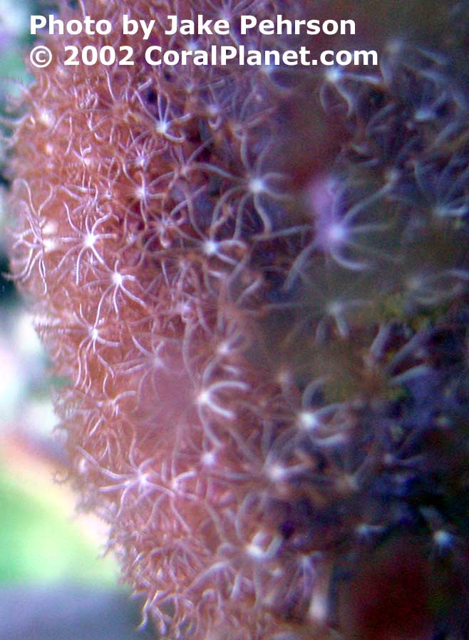 DSC01199