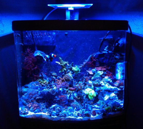 aquablue s nano cube