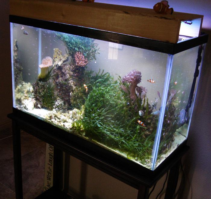 refugium wmas message board