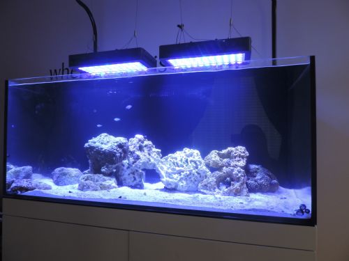 aquarium aquarium