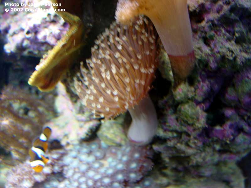DSC01111